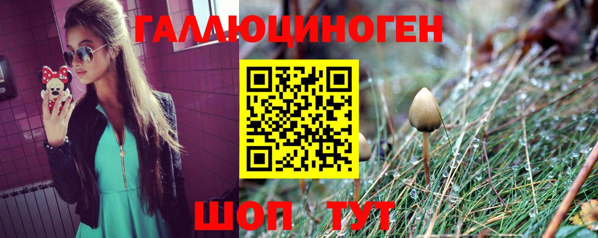 Солнечногорск  Псилоцибиновые грибы Cubensis  Вход с VPN 